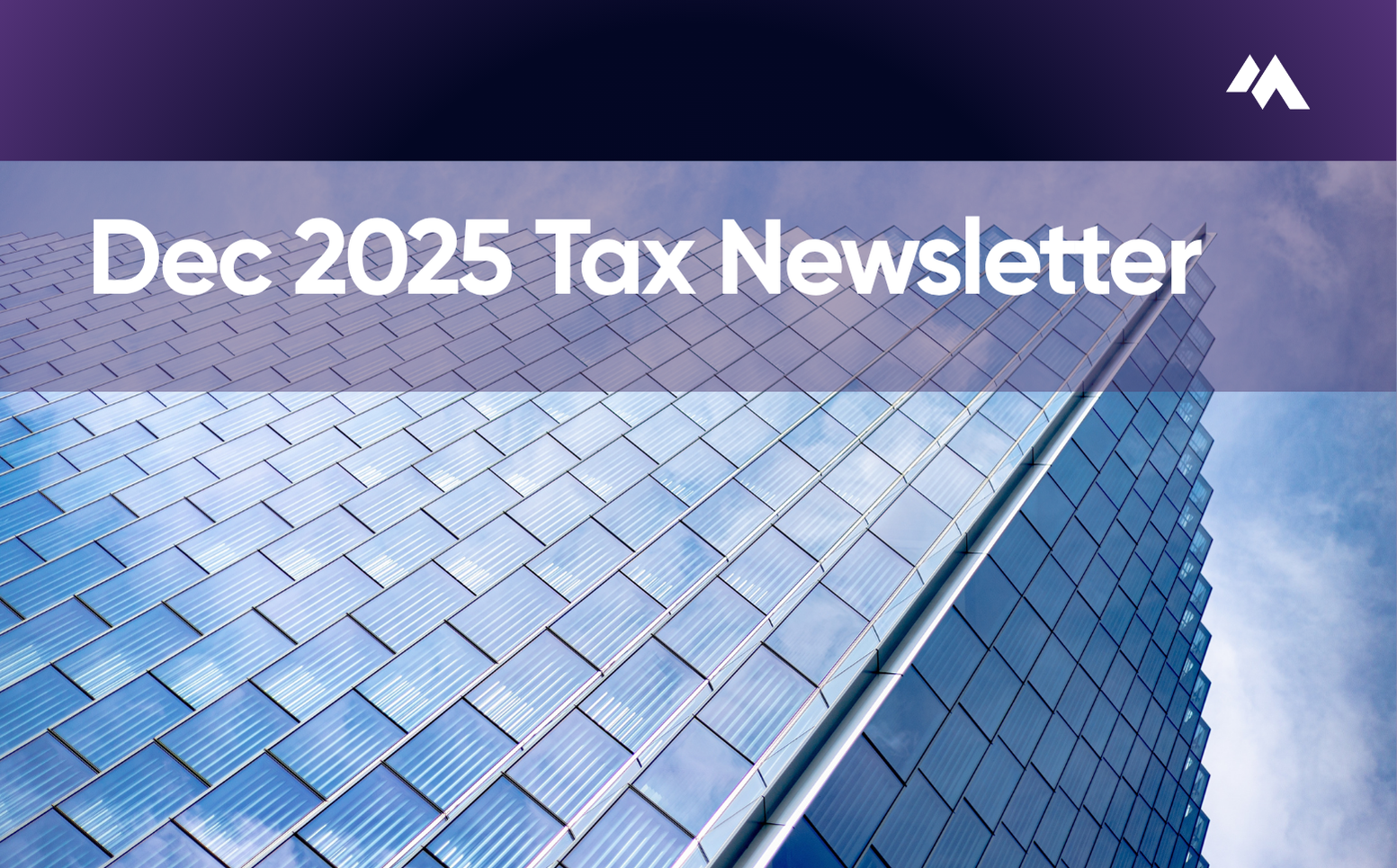 Tax Newsletter December 2025
