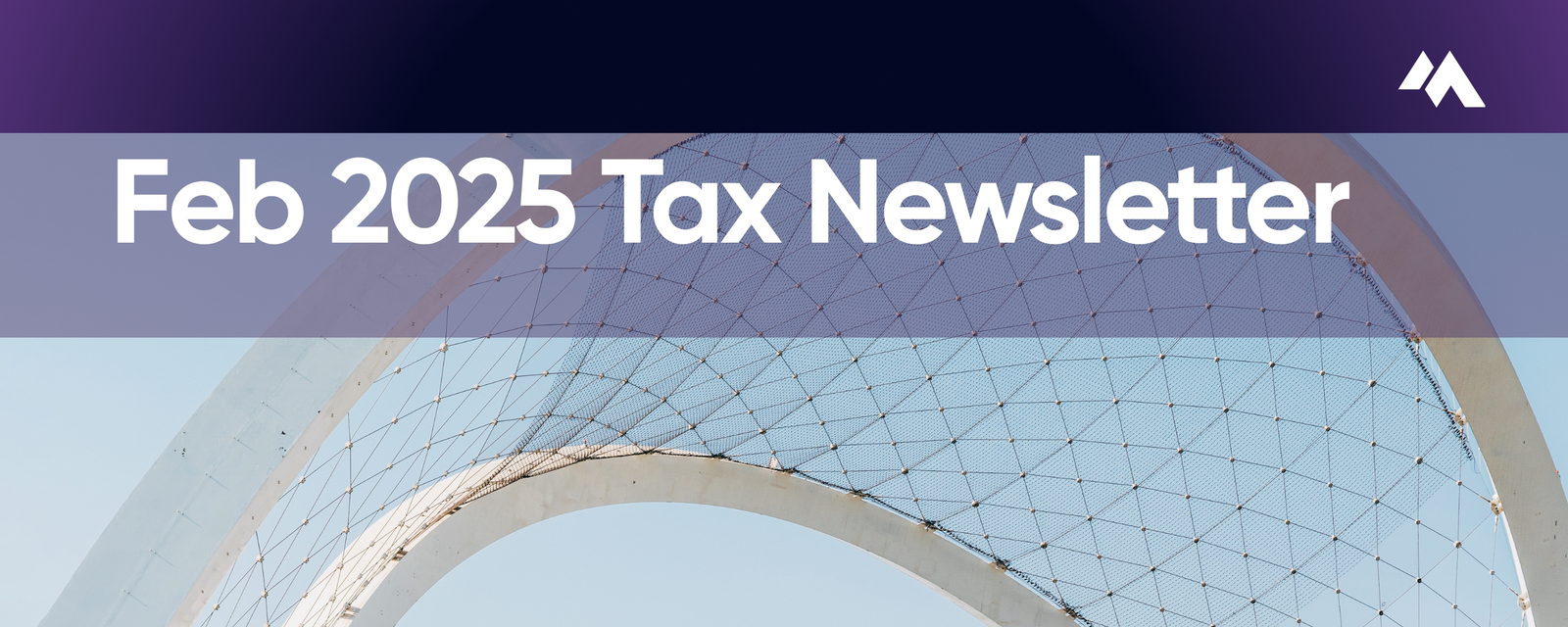 Tax Newsletter — February 2025