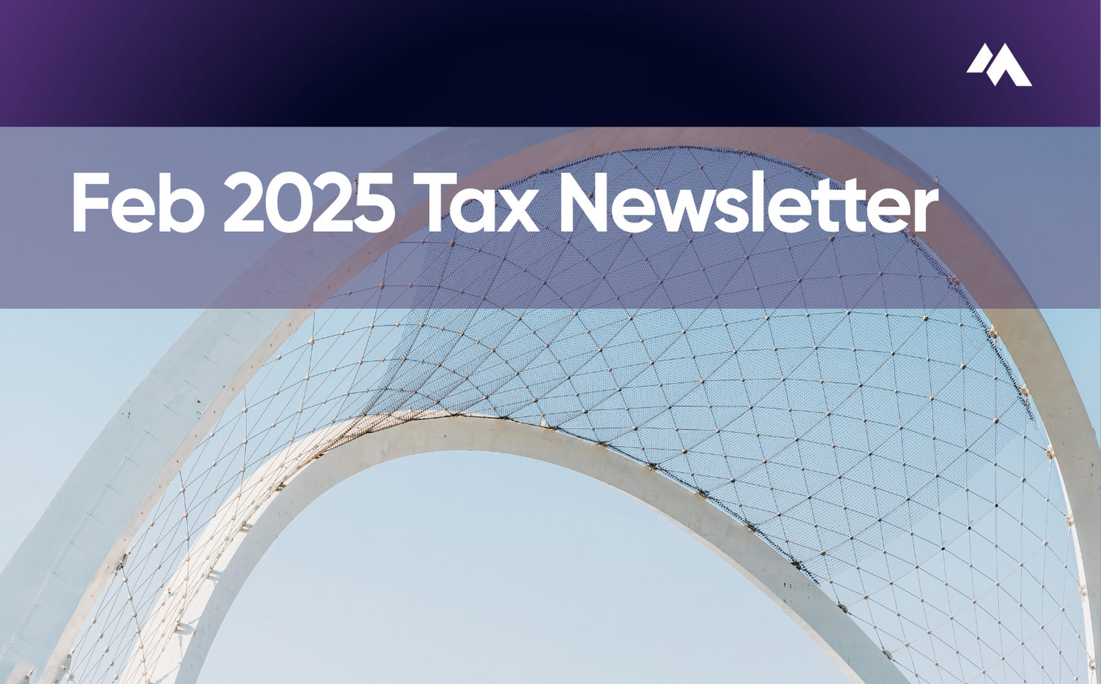Tax Newsletter February 2025