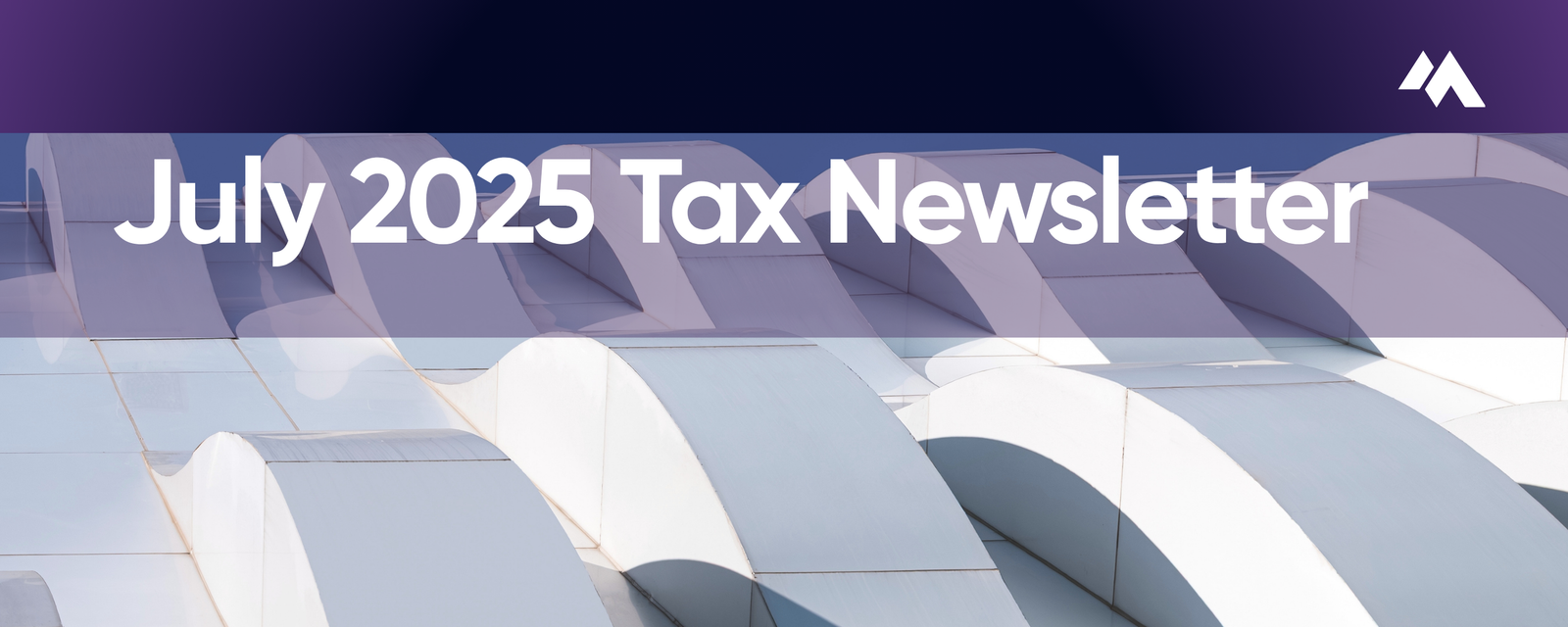 Tax Newsletter — July 2025