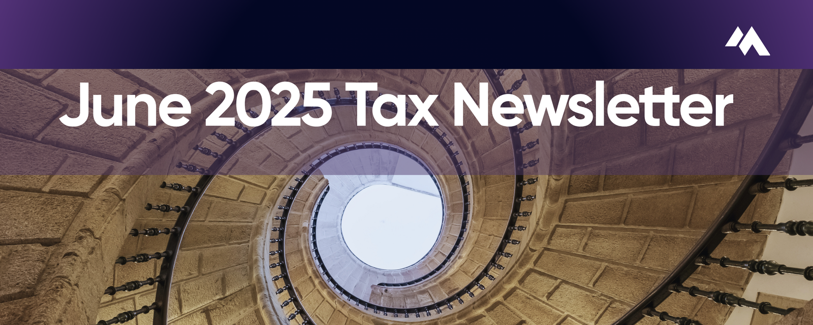 Tax Newsletter — June 2025