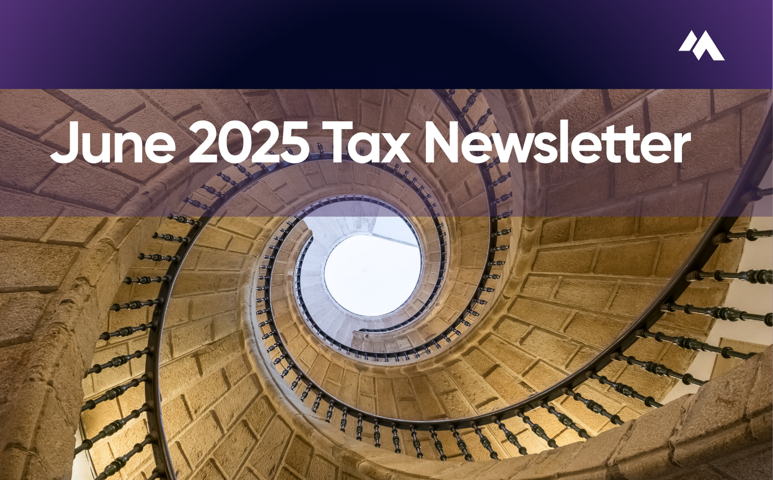 Tax Newsletter June 2025