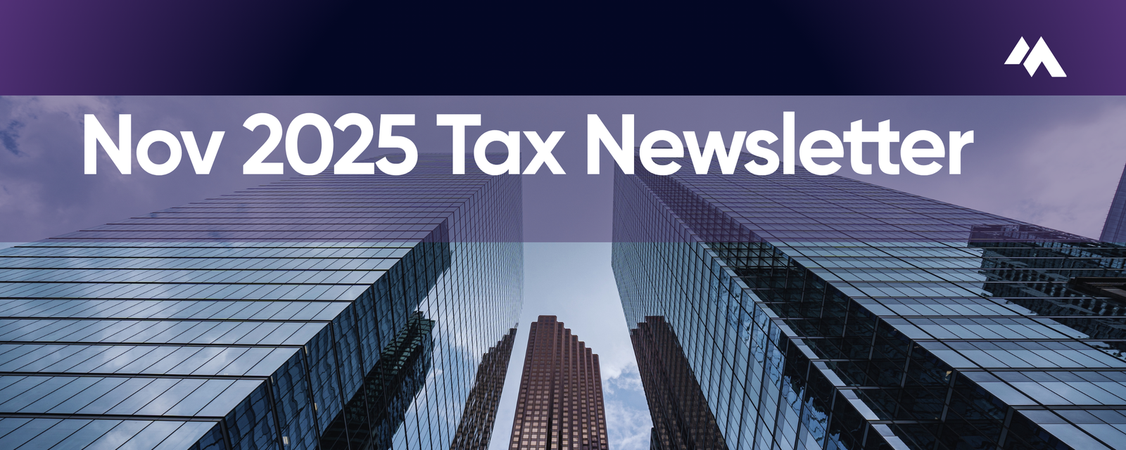 Tax Newsletter — November 2025