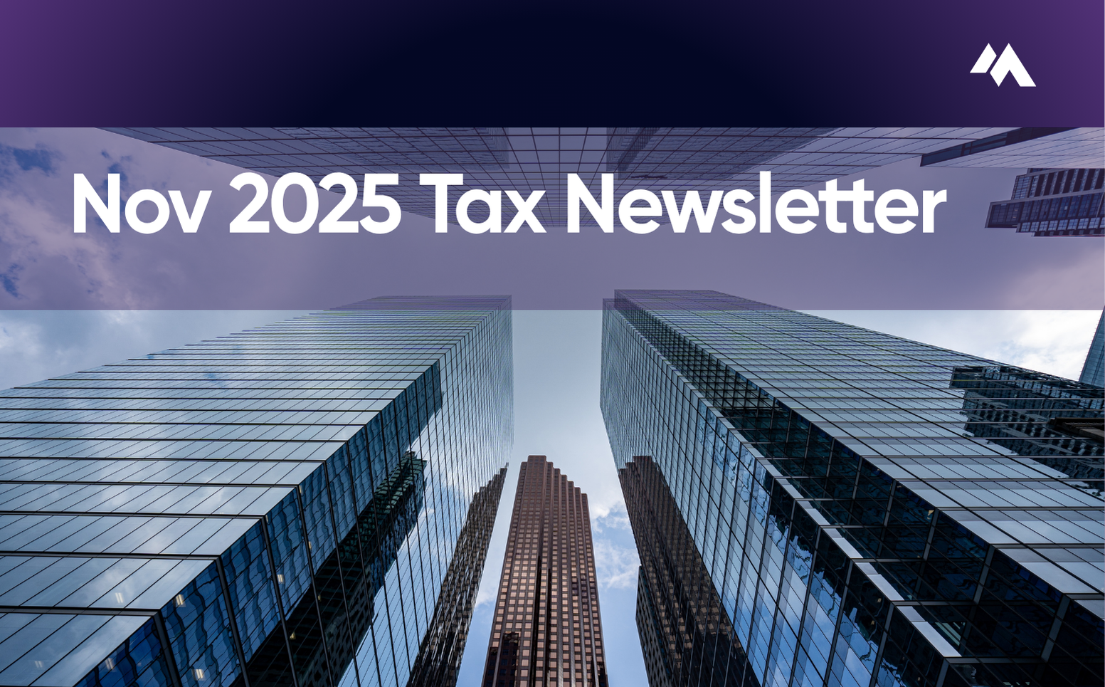 Tax Newsletter November 2025